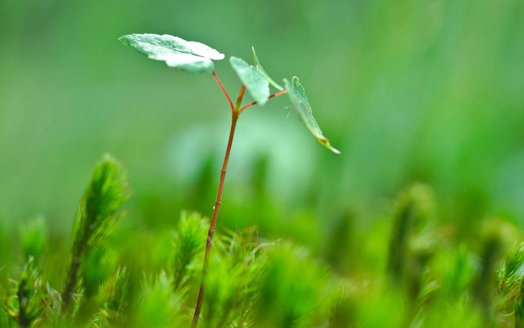 Was ist Spiritualität?