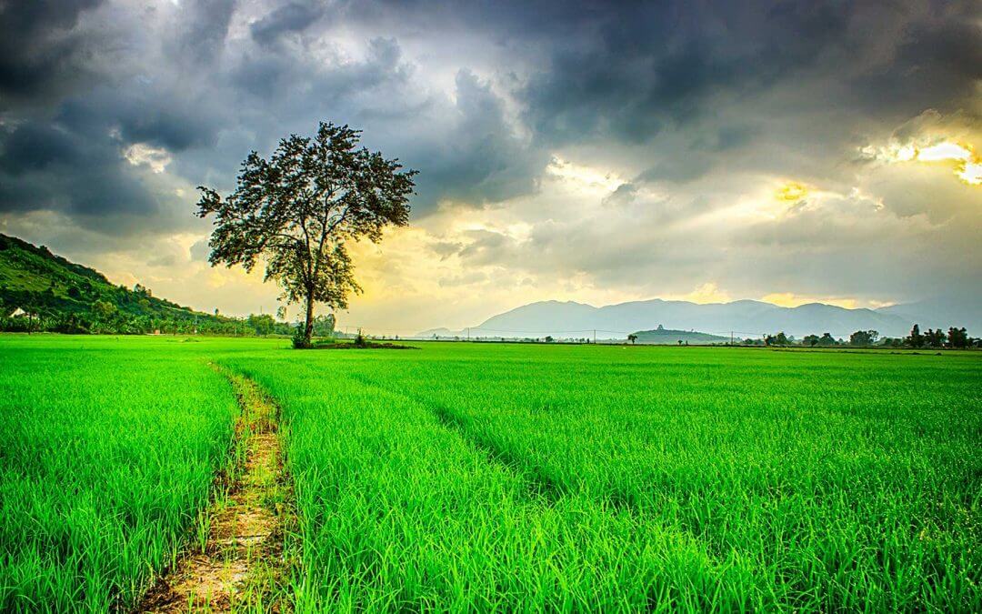 Der Sinn des Lebens…